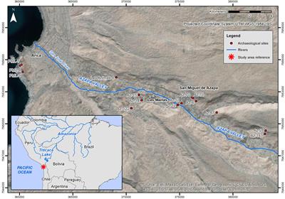 Pre-Columbian cultivation of vegetatively propagated and fruit tree tropical crops in the Atacama Desert